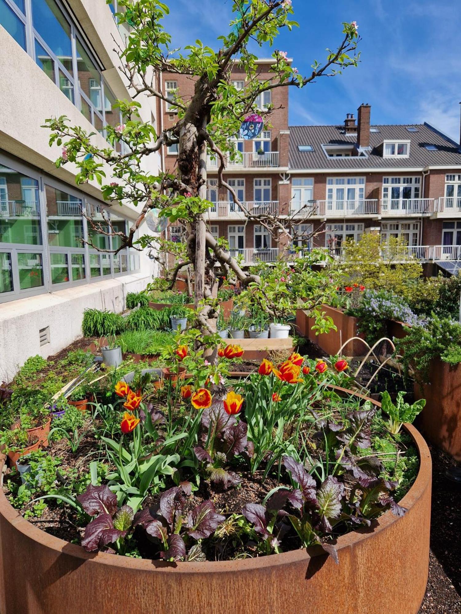 Court Garden Hotel